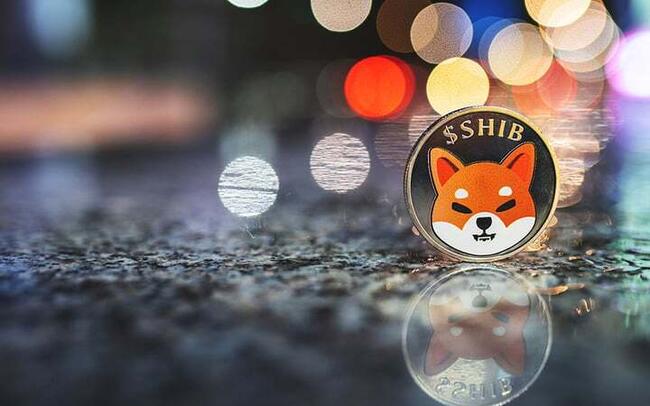 Shiba Inu Developers Set Shibarium Hard Fork for May 2: Here’s What You Need to Know