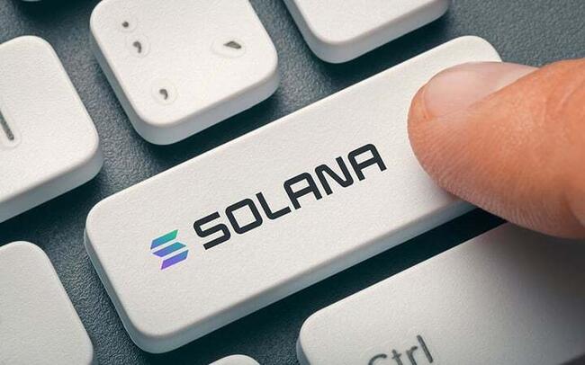 Institutional Investors Flock to Solana (SOL) Ahead of Anticipated Bull Run