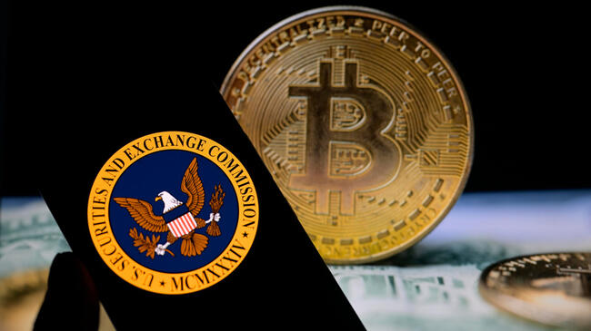 SEC, Bitcoin Takipçilerinin Beklediği Opsiyon Kararını Yine Erteledi