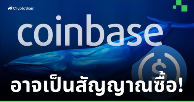 รายงานพบ ‘วาฬ’ โยก 1.3 พันล้าน USDC เข้า Coinbase