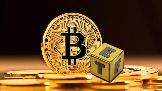 Ünlü CEO Bitcoin ETF Yatırımlarında Artış Bekliyor