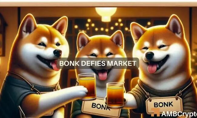 BONK’s price rally – Explaining its 83% pump over the week
