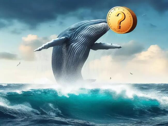Cá voi bí ẩn kiếm được 1841% lợi nhuận từ altcoin này