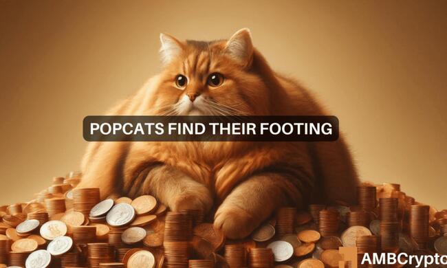 POPCAT – Time to sell after 205% surge in 7 days?