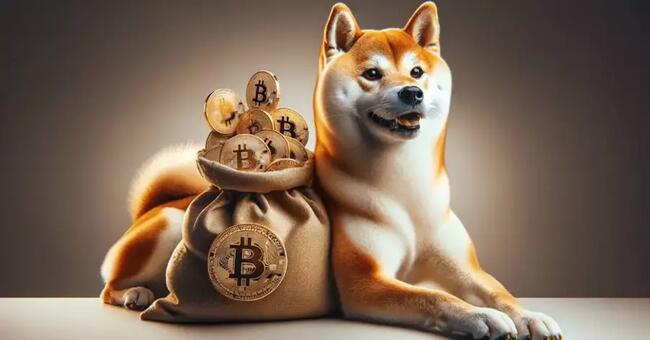 MemeCoin Mania: Crypto Expert Forecasts 100X Growth Potential for Shiba Inu 