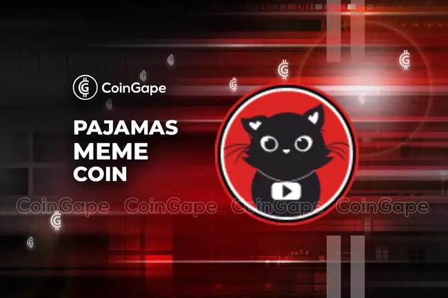 PAJAMAS Meme Coin Surged 600%; Here’s What You Should Know