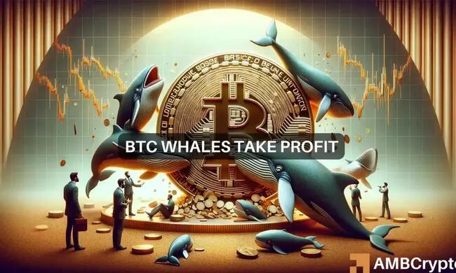 Bitcoin por debajo de $64000: observe a estas ballenas en busca de señales de reversión