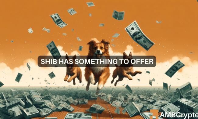 Shiba Inu price prediction – All about SHIB’s latest buy opportunity