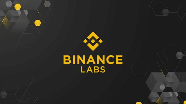 Binance Labs Dominance Uncovered For Launchpool Projects: Report