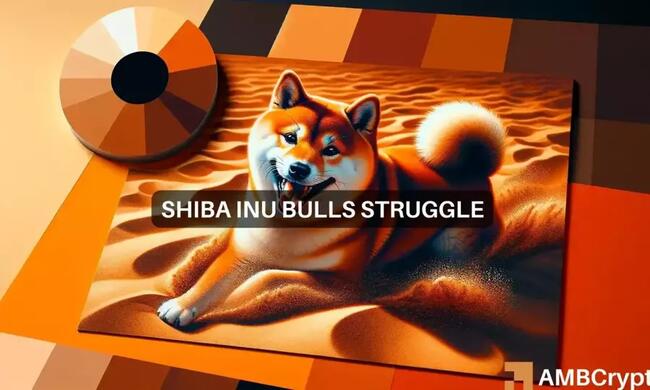 How Bitcoin impacted Shiba Inu’s price, and what you can do about it