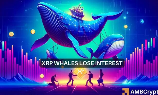 Explorando la venta masiva de XRP: a medida que las ballenas comienzan a salir, ¿debería usted hacer lo mismo?