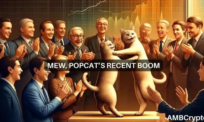 Solana’s MEW, POPCAT drop 11%: Cat memecoins end their rally?