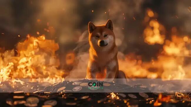 Dogecoin vor 40% Crash? Warnsignale aus der Krypto-Analyse