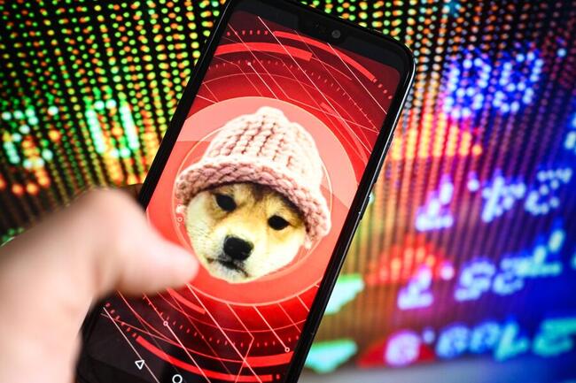 Flash Pump bei WIF: Dogwifhat steigt kurzzeitig auf über 40 Dollar