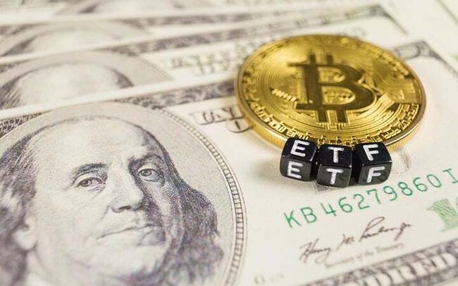 Bernstein Report: Slowdown in Bitcoin ETF Inflows Is Short-term Pause
