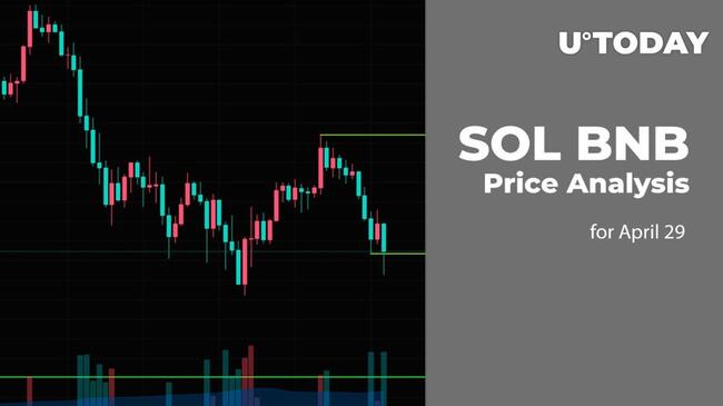 SOL and BNB Price Prediction for April 29