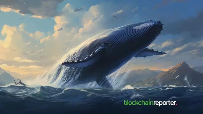 Six $ETH Whales Dump 44K Tokens Following the Market Downturn