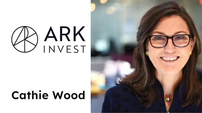 Cathie Wood’s Ark Invest Banks on Chip, Tech Stocks in Latest Buy