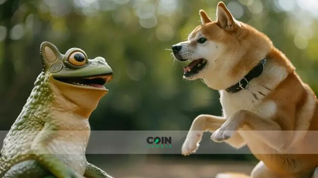 Pepe könnte Dogecoin und Shiba Inu als größte Meme-Kryptowährung überholen