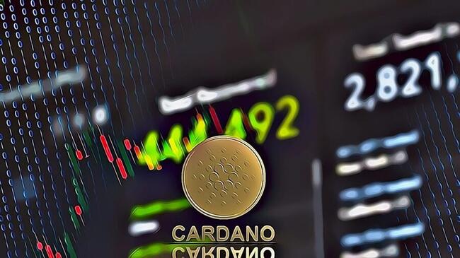 Cardano Whales Drive Surge In Large Transactions Amid Market Volatility