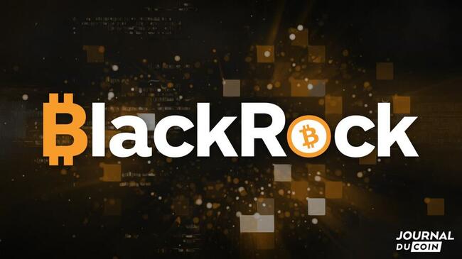 BlackRock reçoit des dizaines de milliers de dollars en tokens Runes