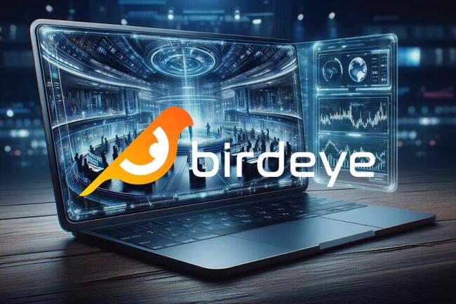 Birdeye: esploriamo l’aggregatore di dati per il crypto trading ed i cross chain swap