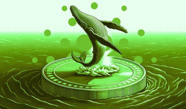 Cardano Whale Signal Historically Correlated With Price Reversals Flashes Green: Santiment