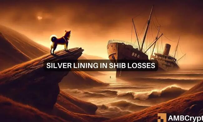 Shiba Inu coin price prediction: Should you brace for another 20% drop?