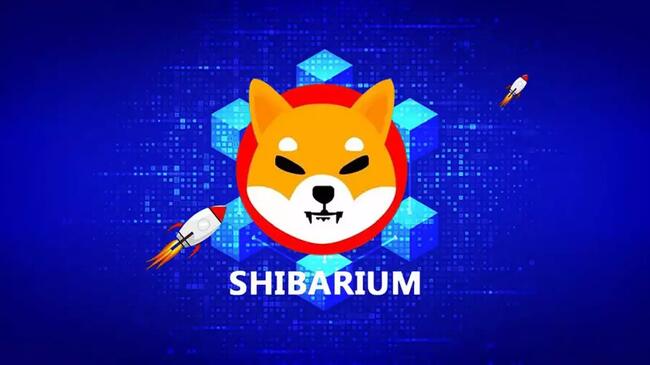 Phí giao dịch Shibarium tăng 500%