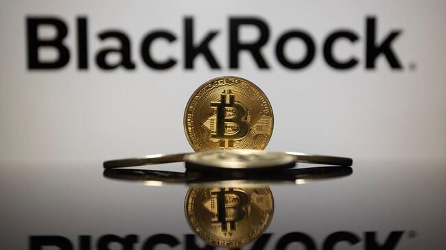 BlackRock Bitcoin ETF has its first day of outflows