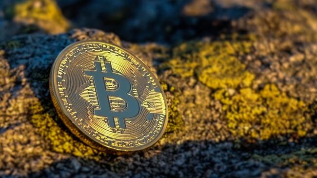 Crypto expert onthult waarom Bitcoin daalt – BTC kopen koers nu dipt voor nieuwe crypto rally?