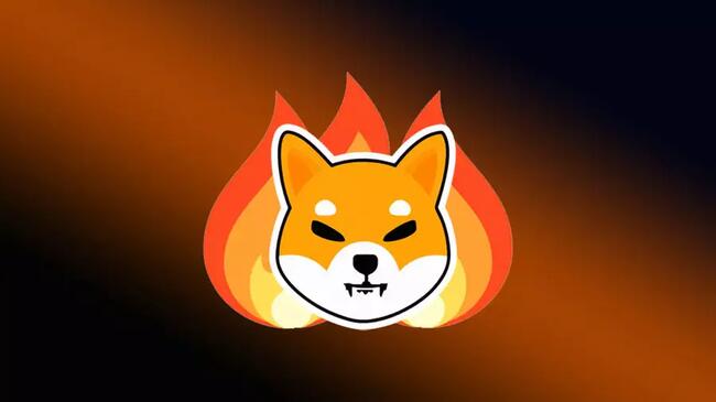 Gần 2 tỷ Shiba Inu token vô tình bị đốt