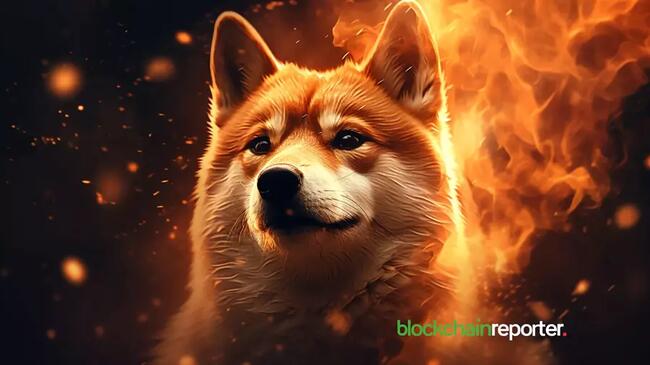 Shiba Inu Token Sees Price Increase and Market Cap Growth Amid Decline in Burn Rate