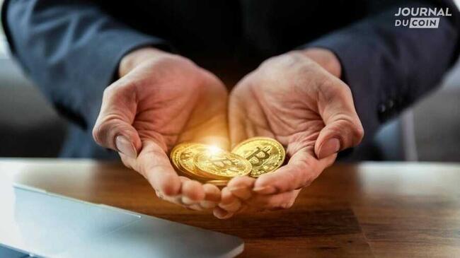 Bitcoin : Décrypter les Influences des Investisseurs à long et court terme