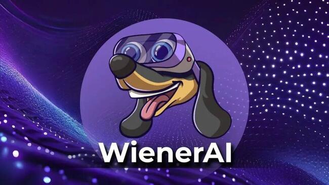 Come comprare WienerAI, la nuova crypto di intelligenza artificiale. Guida pratica in 3 step