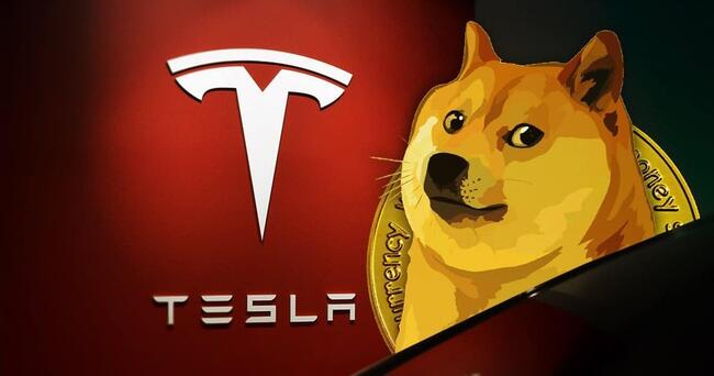 Última hora: Tesla De Elon Musk Agrega Dogecoin (DOGE) Como Método De Pago