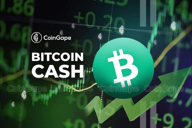 Charles Hoskinson Teases Cardano and Bitcoin Cash Partnership