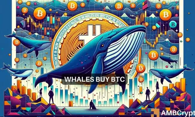 Bitcoin price’s hike to $64,000 – Whales had THIS role to play here