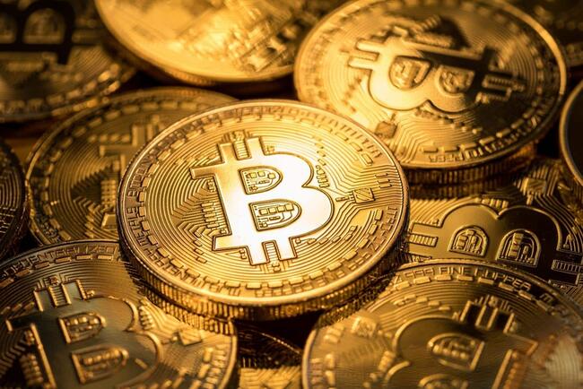 Laporan VanEck Mengungkapkan: Bank, Negara dan ETF Menguasai 15% Pasokan Bitcoin