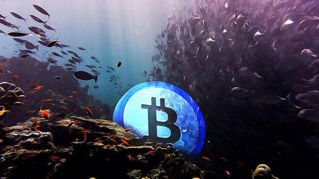 Predicciones Expertas sobre el Precio de Bitcoin