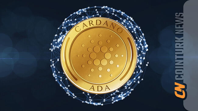 Cardano Considers Integrating Bitcoin Cash