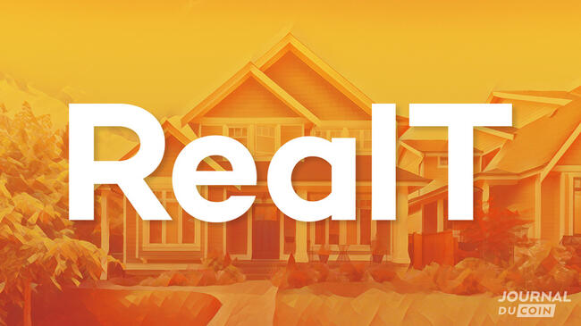 RealT propose 87 biens immobiliers pour garantir les emprunts de ses utilisateurs sur le RMM