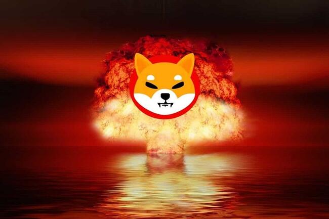 Shiba Inu Coin: Over 81 Mln SHIB Destroyed As Burn Rate Spikes 4000%, What’s Next?