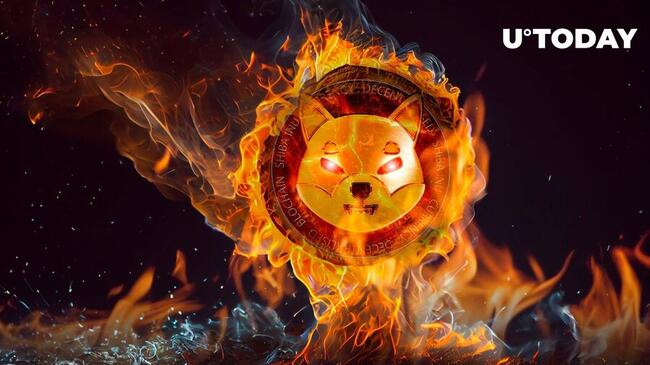 Shiba Inu Sets 81 Million SHIB Ablaze as Burn Rate Soars 4,085%