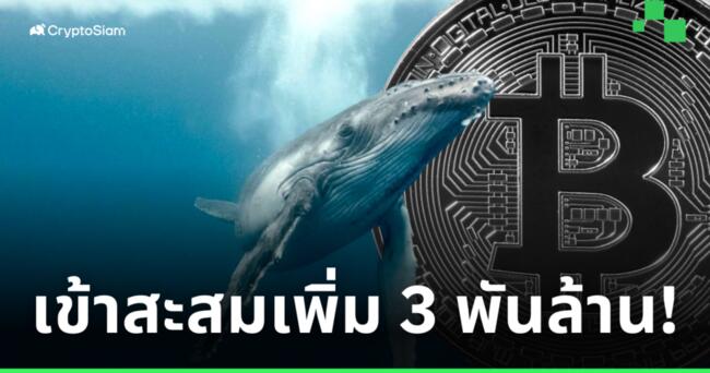 CryptoQuant พบวาฬเข้าซื้อ Bitcoin รวมมูลค่าเกือบ 3 พันล้านดอลล์