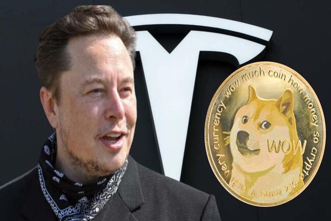 Tesla accetta Dogecoin come metodo di pagamento su alcuni prodotti e DOGE riprende la sua corsa