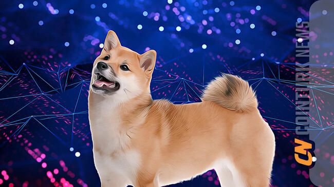 Shiba Inu Coin Gains Attention as Insider Hints at Future Developments