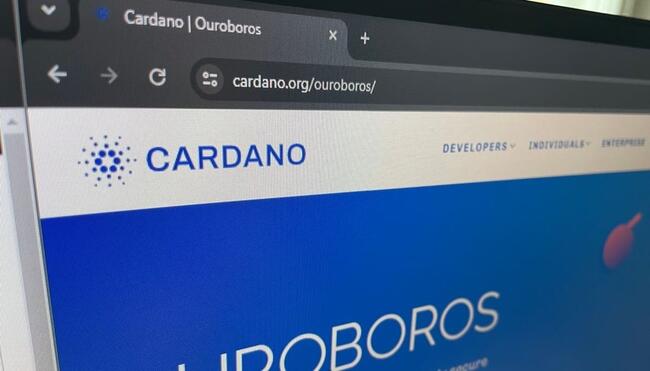 El fundador de Cardano propone la integración de Bitcoin Cash