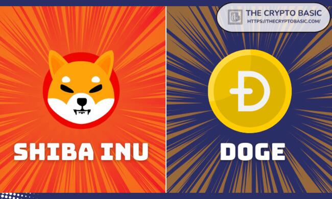 Pundit States Why Shiba Inu is Greater Than Dogecoin