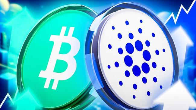 Krypto News: Blockchain-Sensation! ADA-Anleger in Aufruhr: Integriert Cardano jetzt bald Bitcoin Cash?